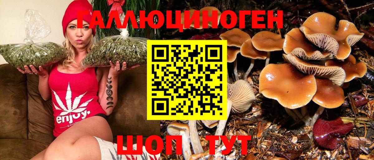 закладка  Псилоцибиновые грибы Magic Shrooms  Вход с VPN  Златоуст 